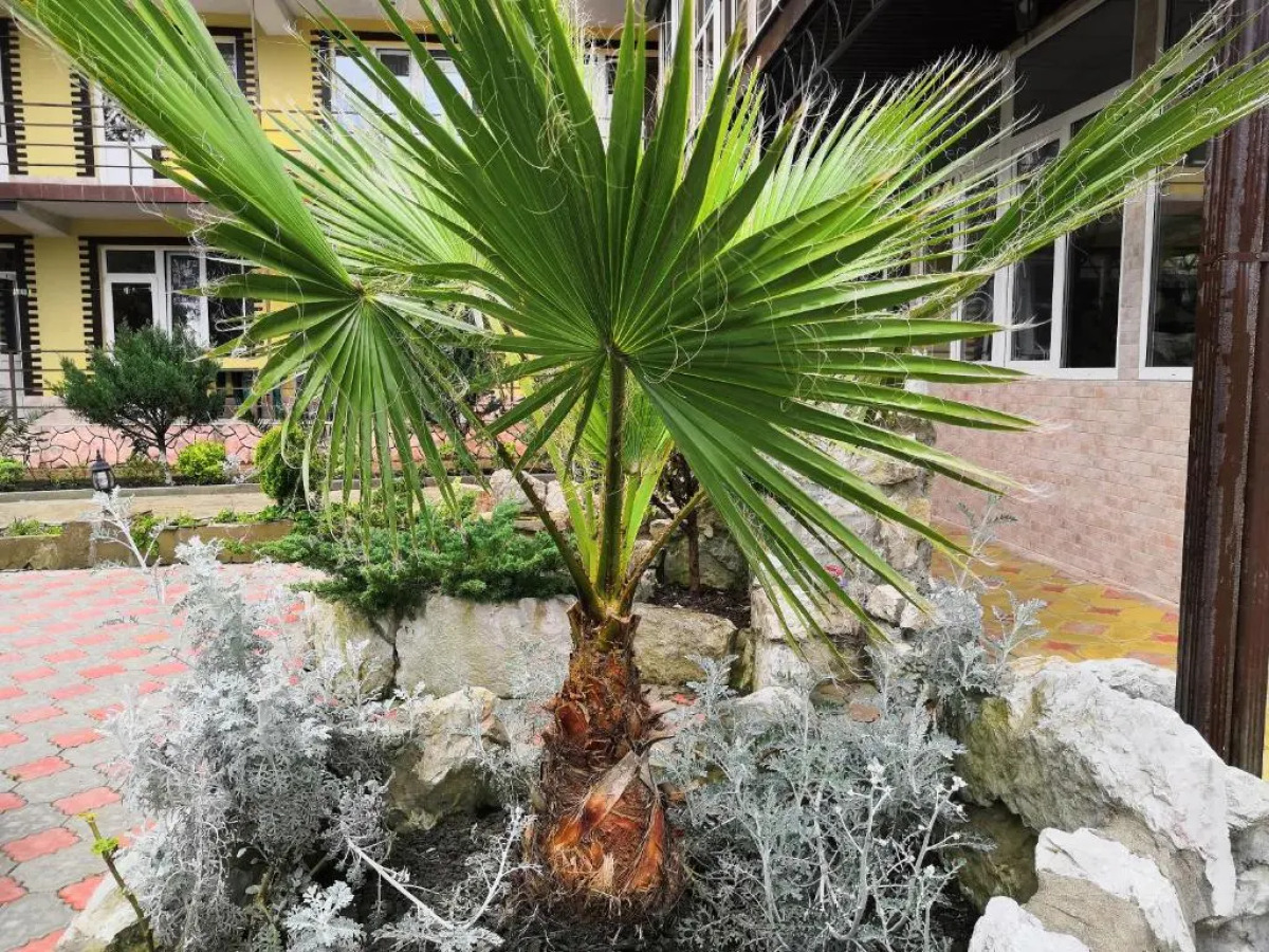 Гостевой дом Тихая гавань