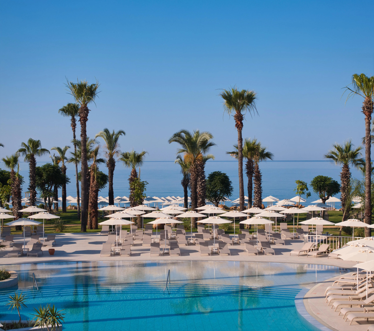 Paloma Grida - All Inclusive