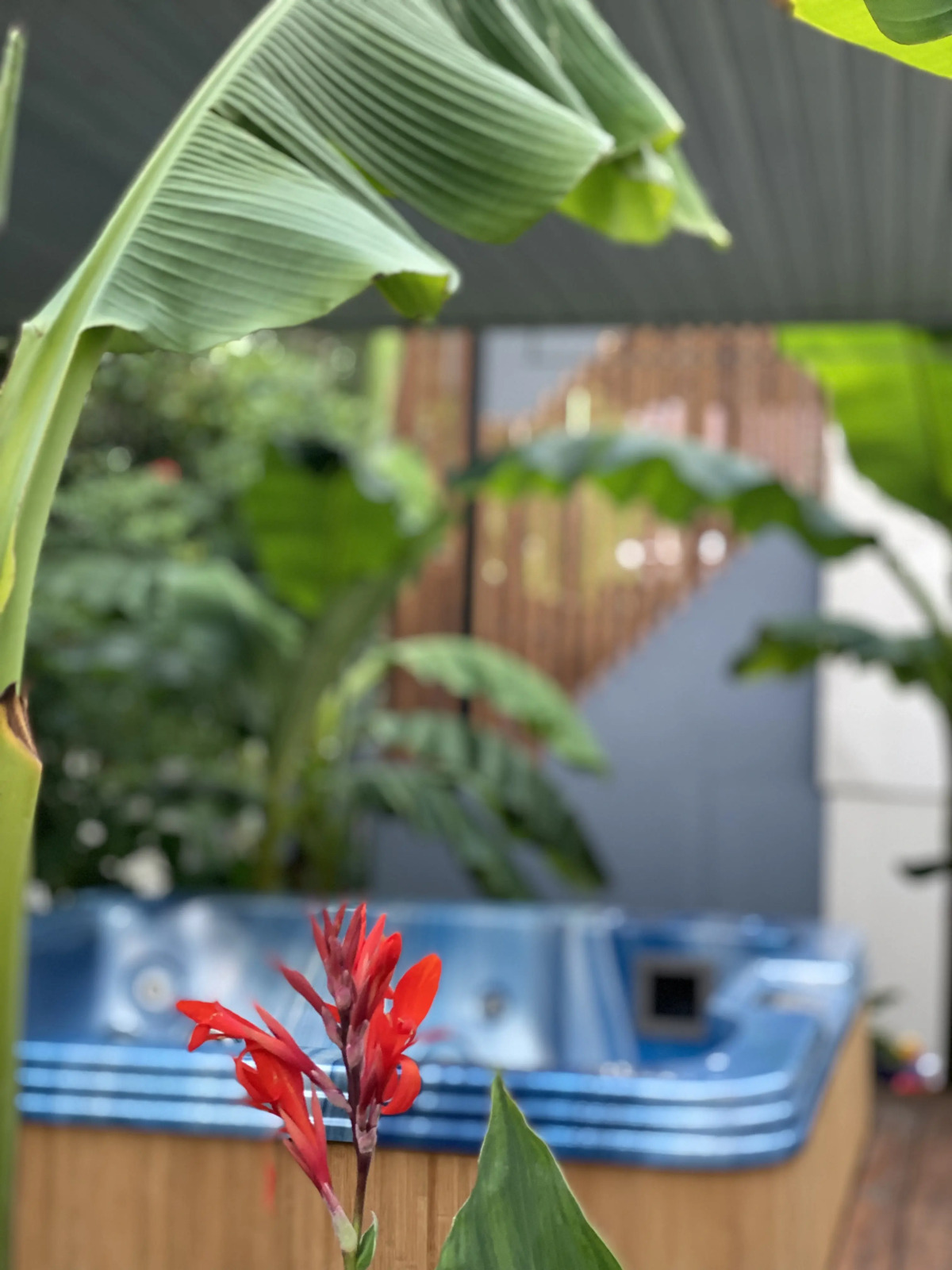 Гостевой дом Casa de la Luz