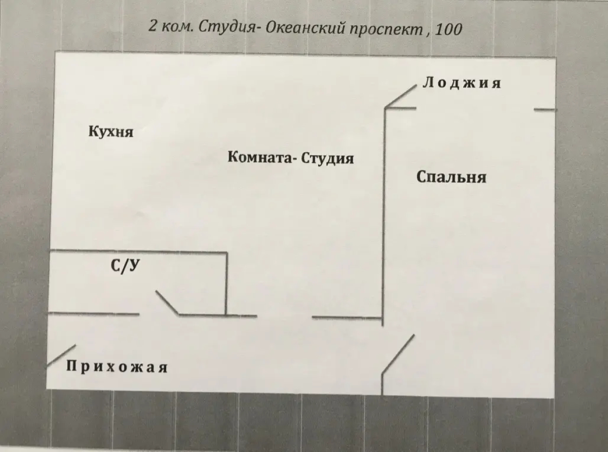 Апартаменты VLadhome24 Океанский проспект 100