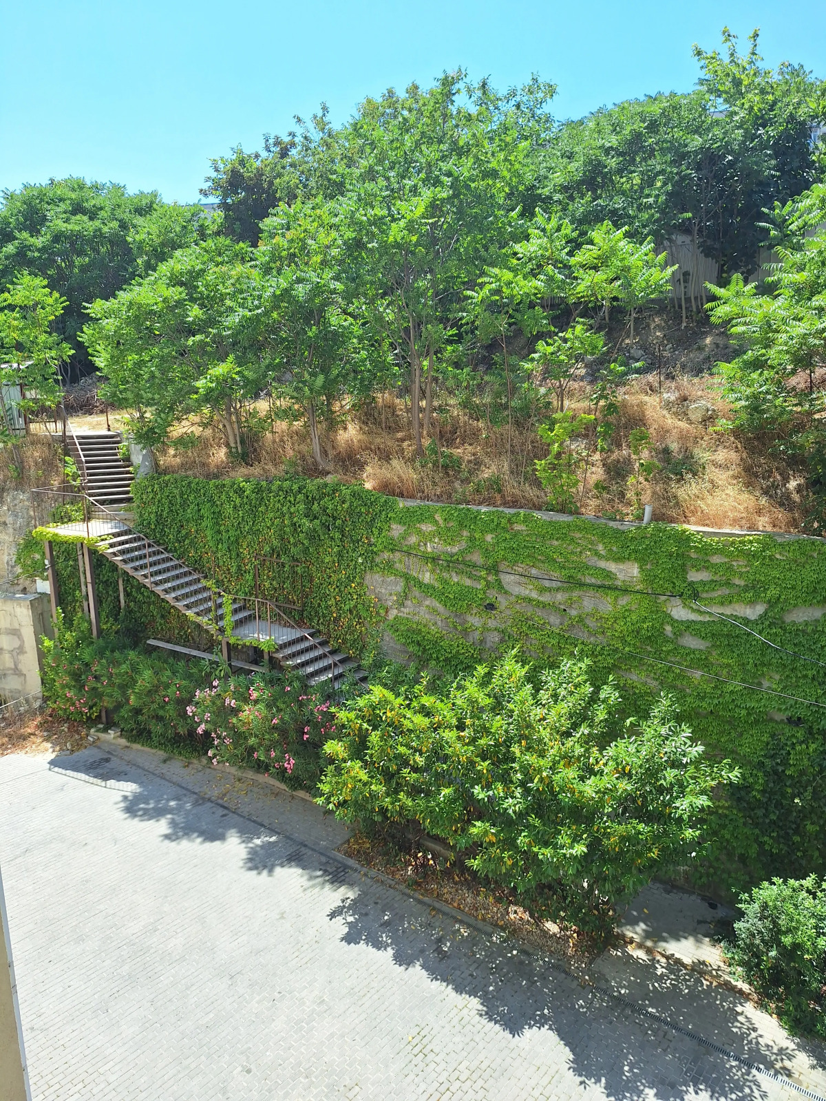 Апартаменты на берегу моря