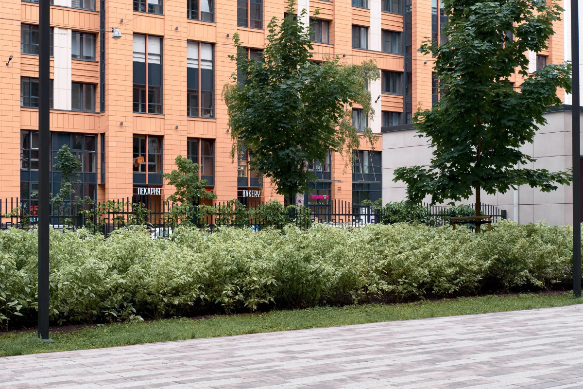 Квартира Apartment Comfort Притяжение