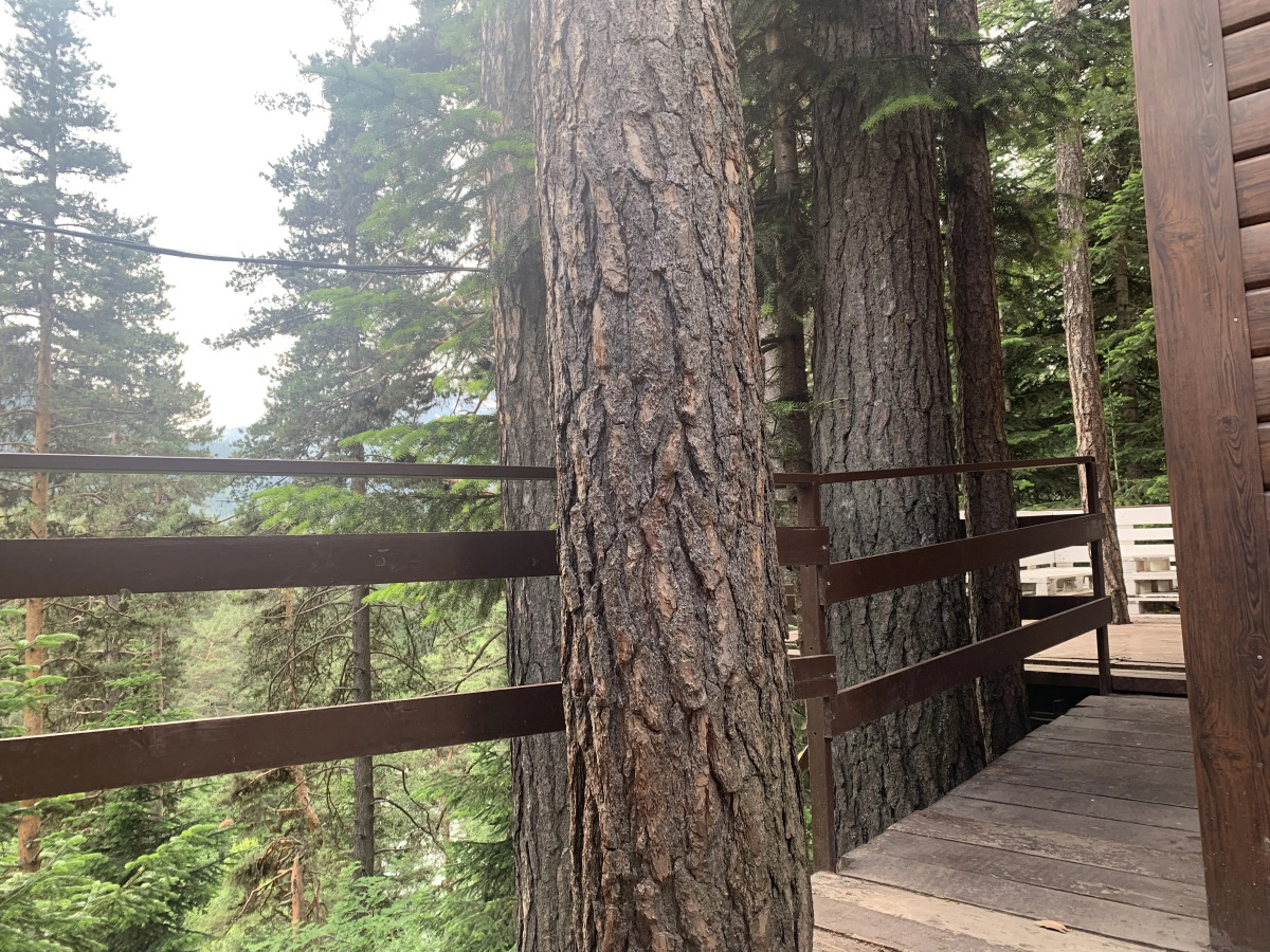 База отдыха Solur