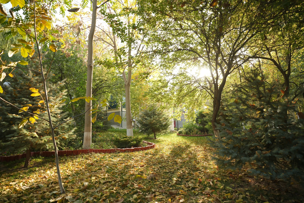 Wellmore Resort Hotel Charvak