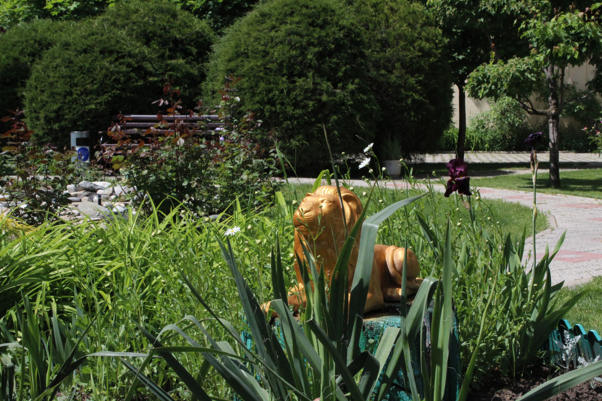 Отель Золотой Лев