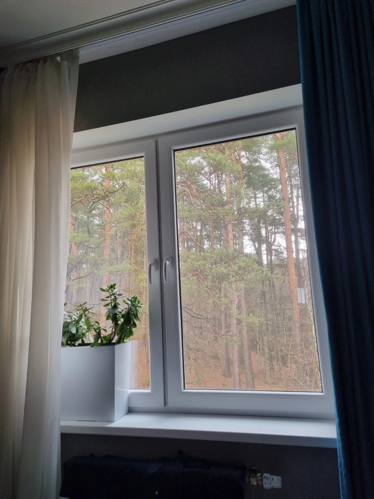 Квартира Уютный уголок около лесного озера