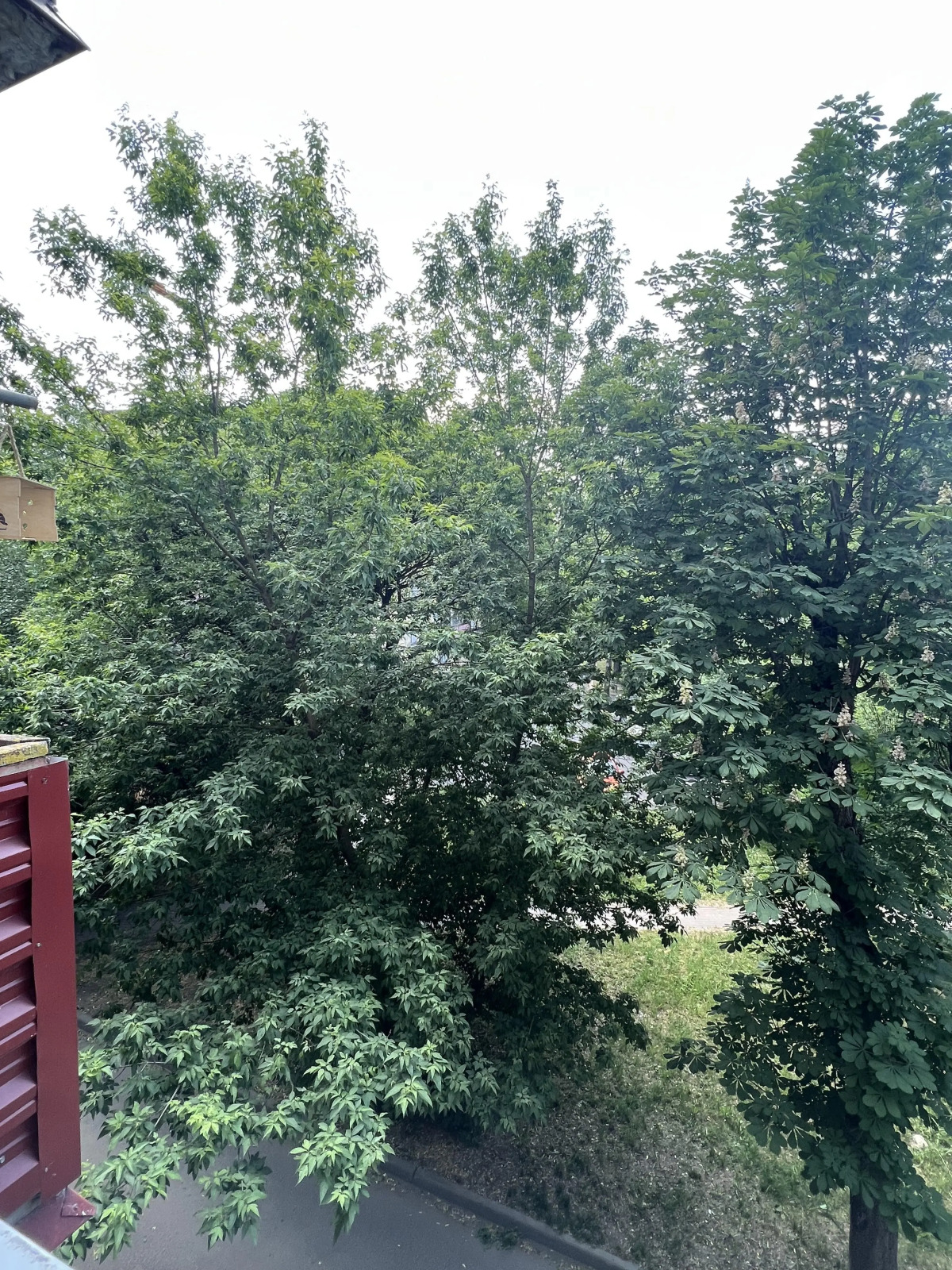 Апартаменты AmaFlat Grushevka