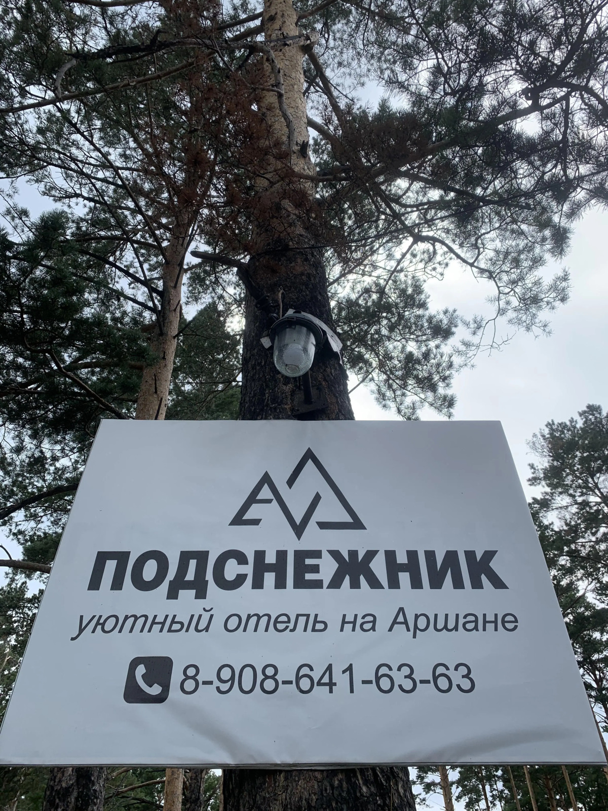 Мини-отель Подснежник