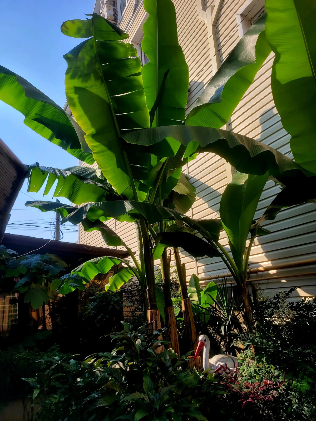 Гостевой дом Олимпия 2