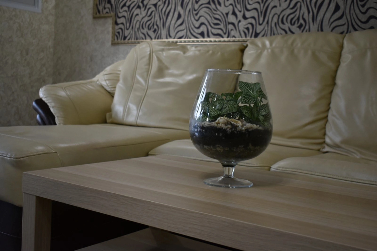 Отель Ареанда