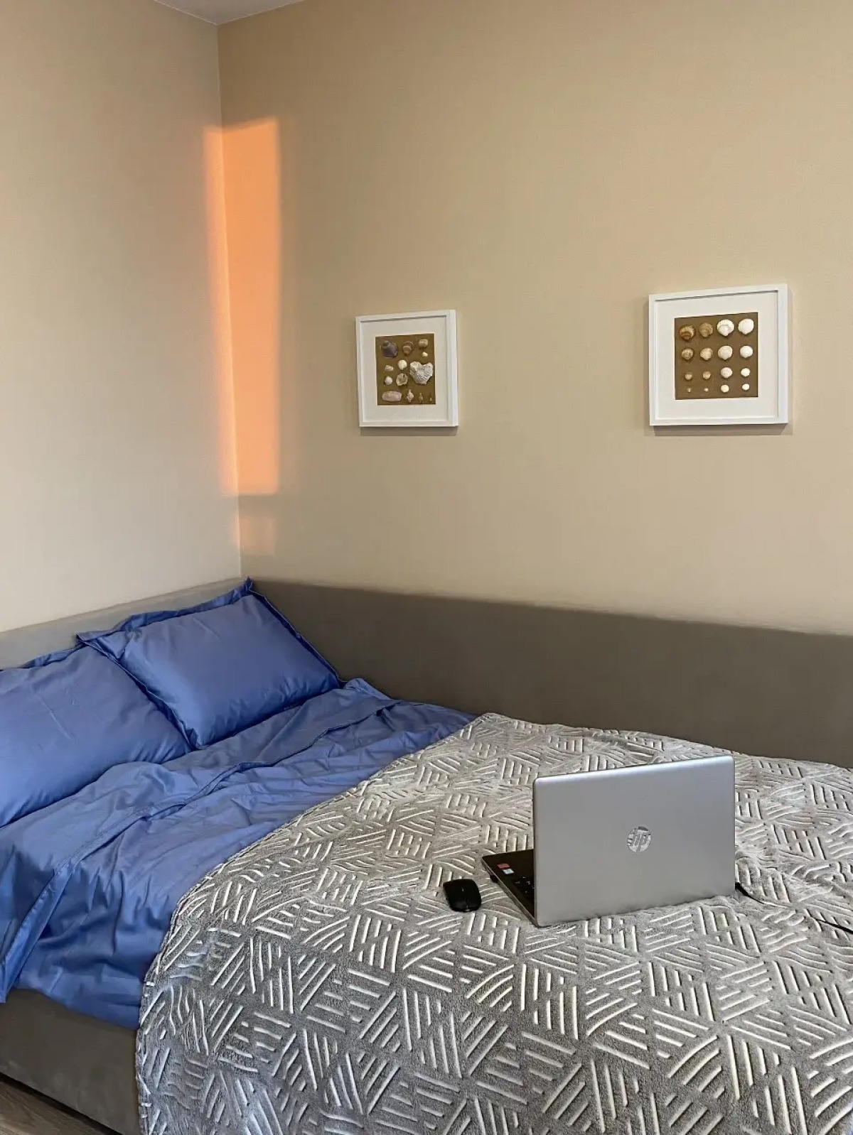 Квартира Уютная Студия Рядом Метро Алтуфьево