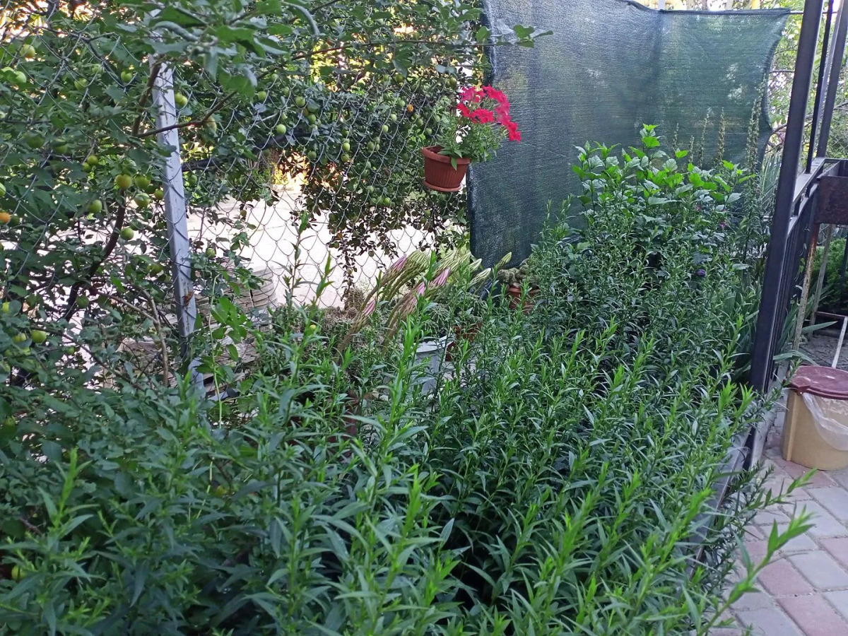 Гостевой Дом Snug House