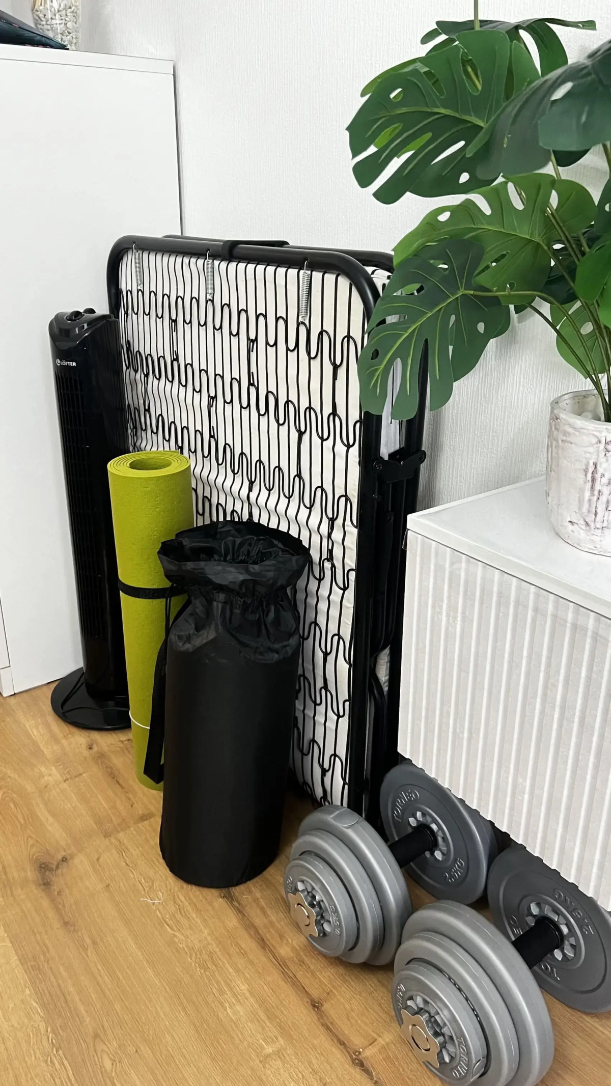 Квартира Тропики в Питере