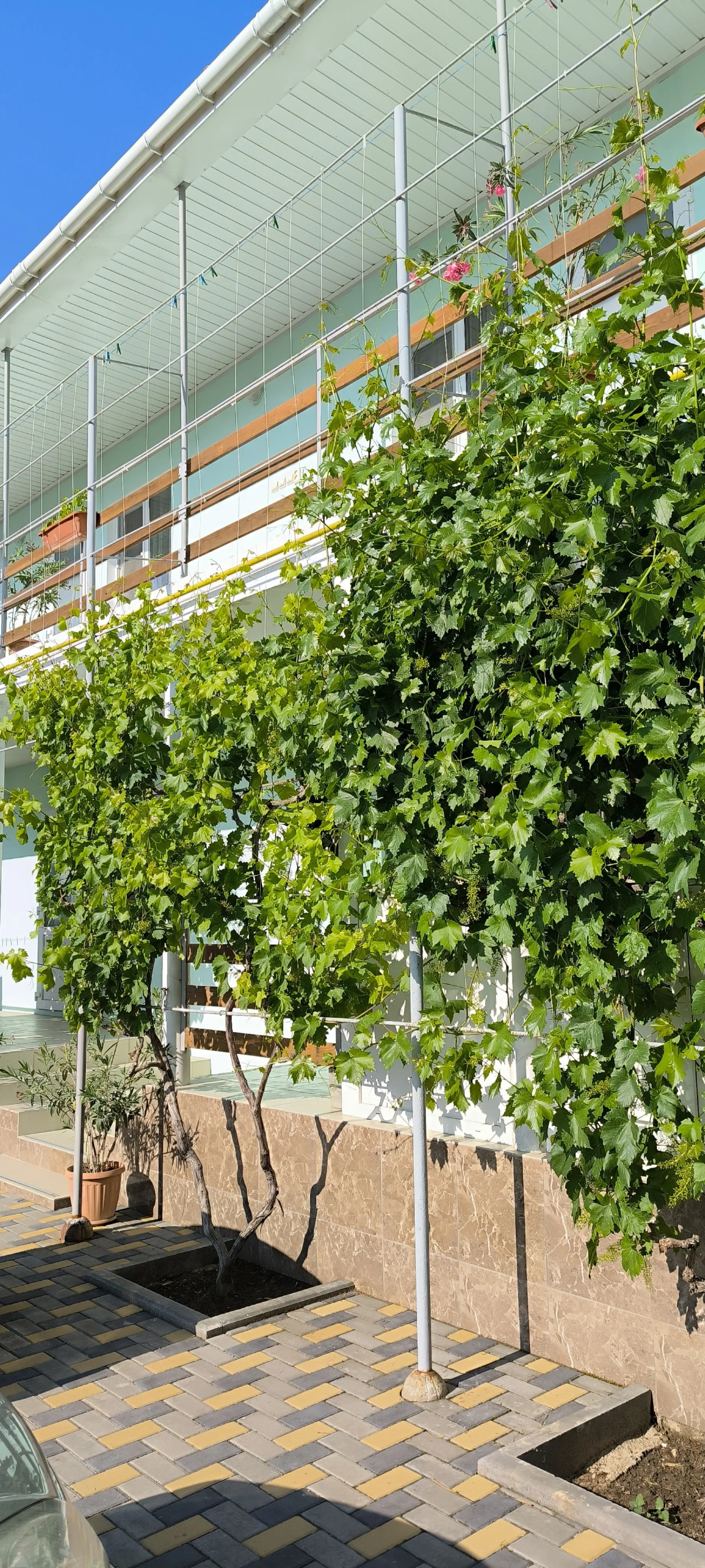 Гостевой Дом Oazis