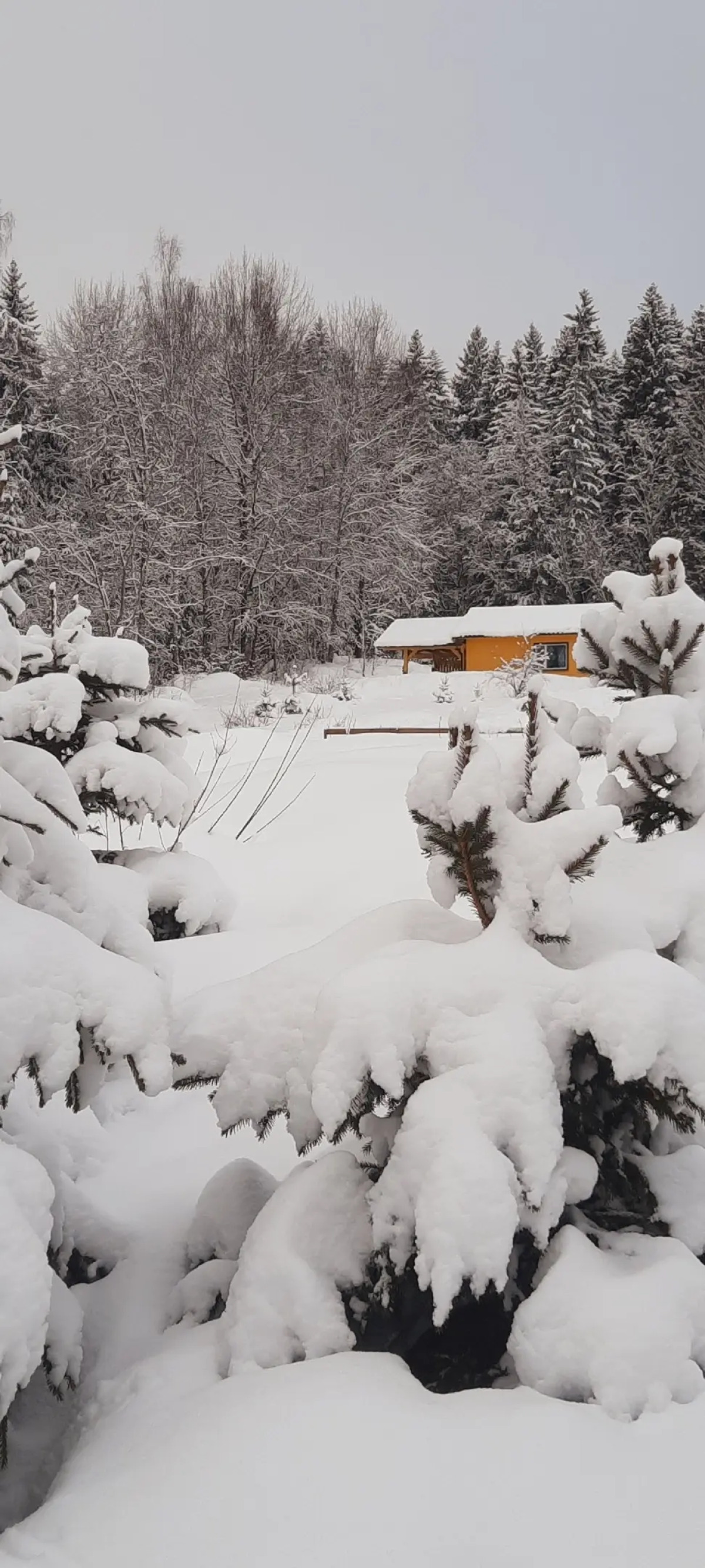 Гостевой дом с выходом в лес