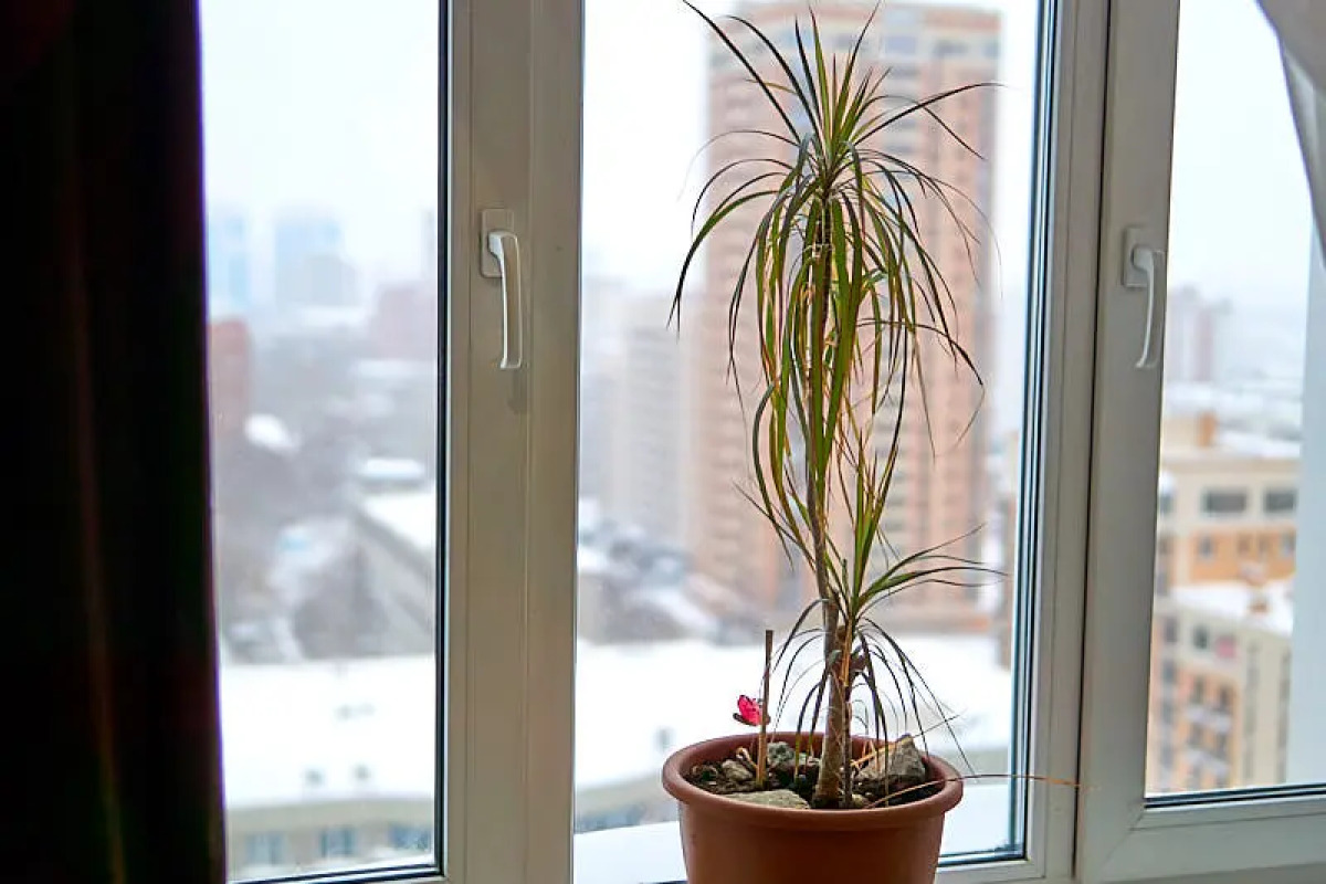 Квартира Sibkvart Крылова 34 (15)