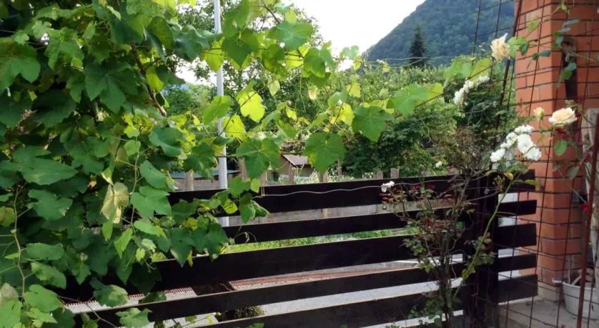 Гостевой дом у Елены