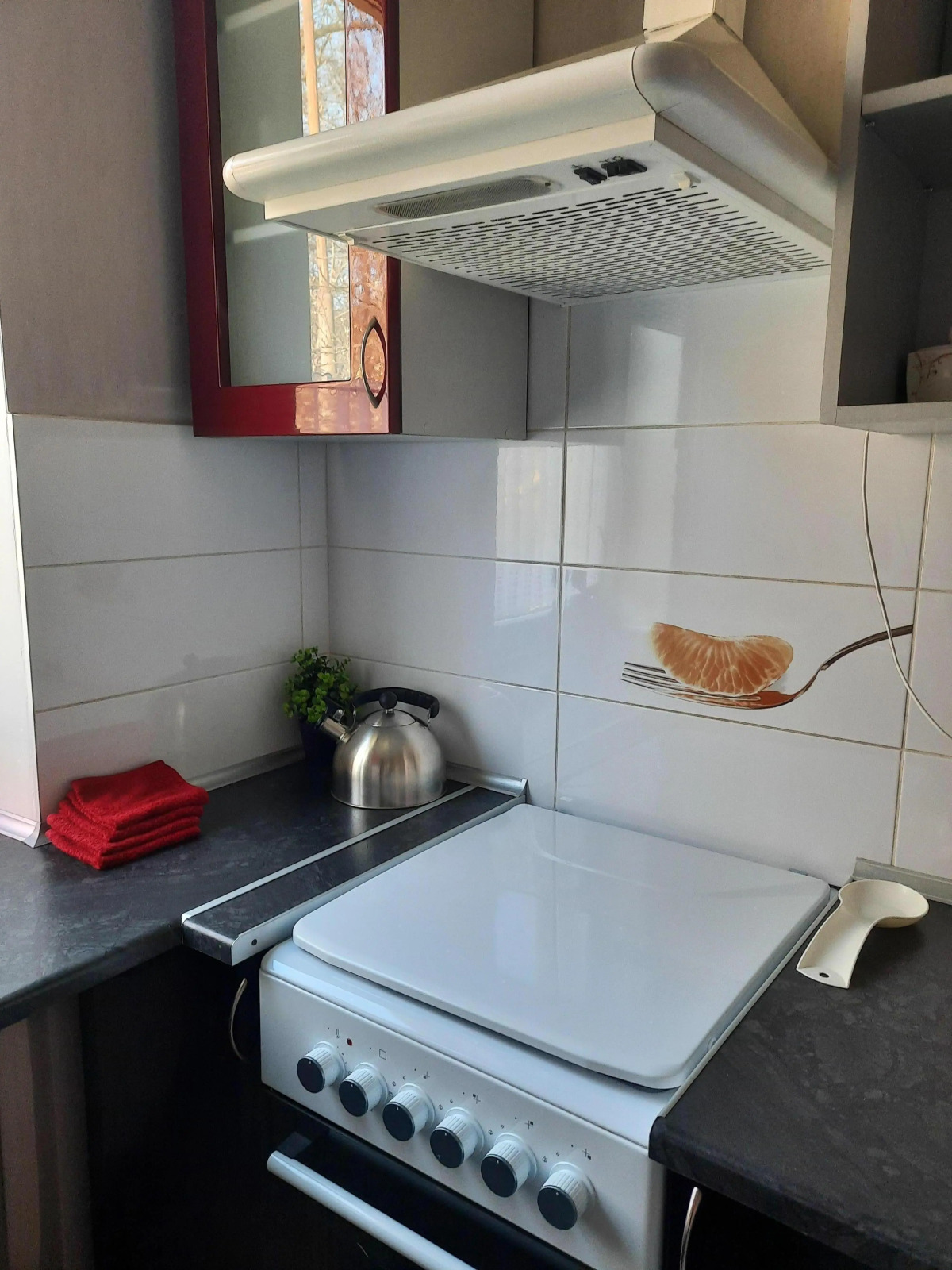 Квартира 2-х комнатная квартира с отдельным входом