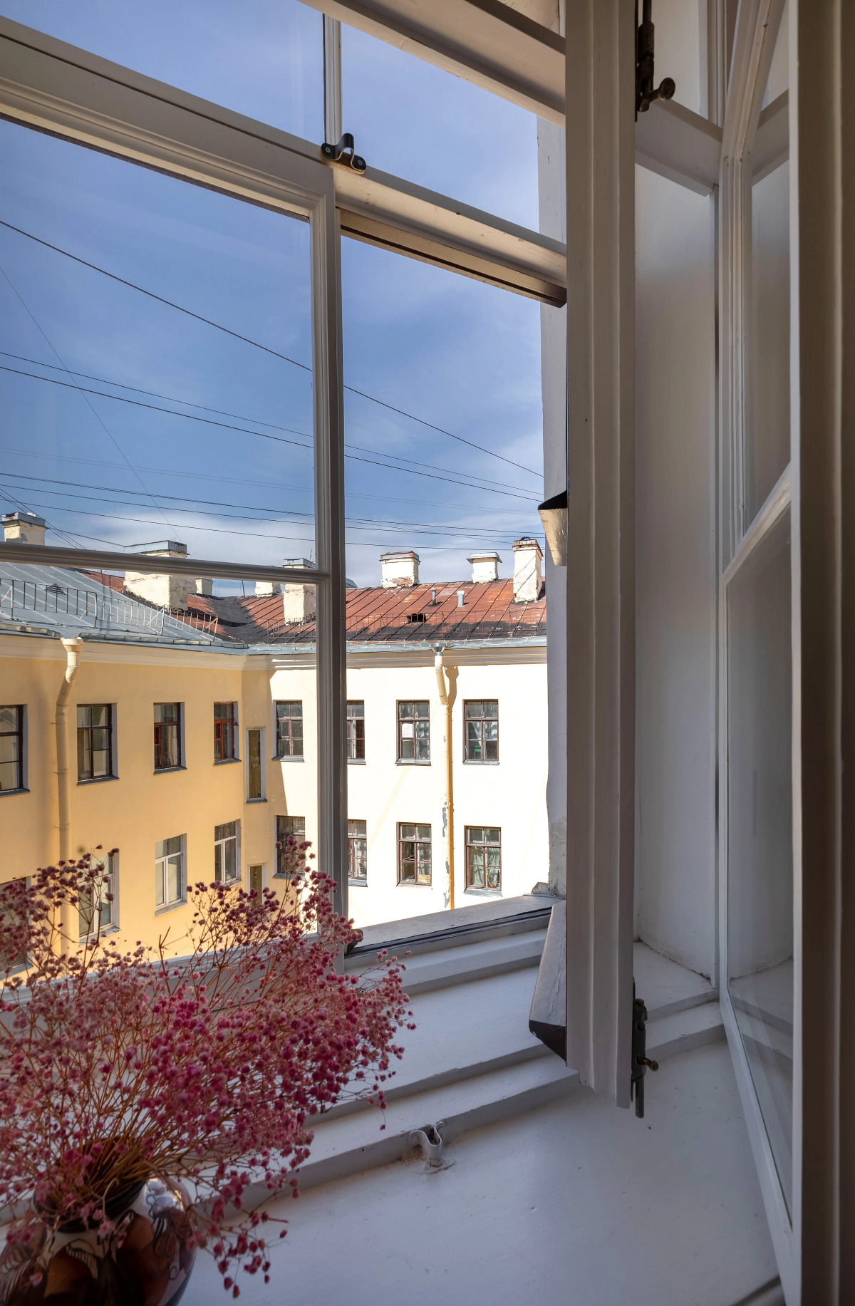 Апартаменты Классическая петербургская квартира в духе ХХ века