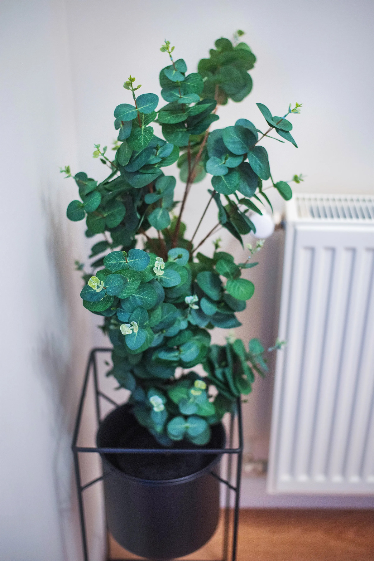 Апартаменты HB apartments University II