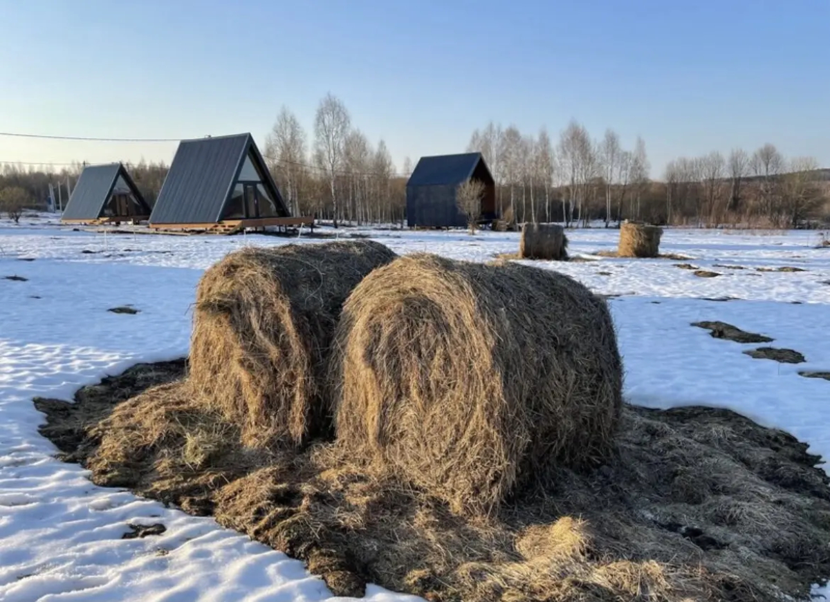 Гостевой дом Лаванда