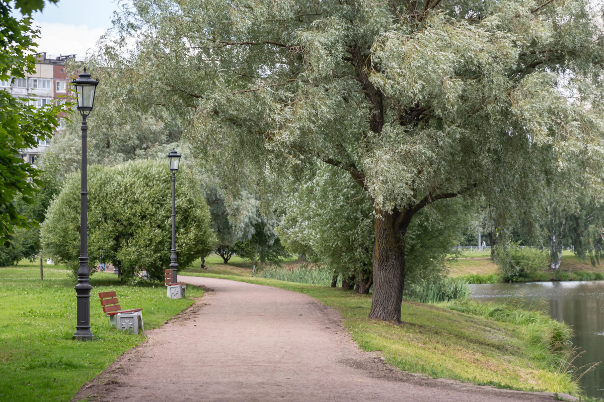 Квартира Передовиков 25