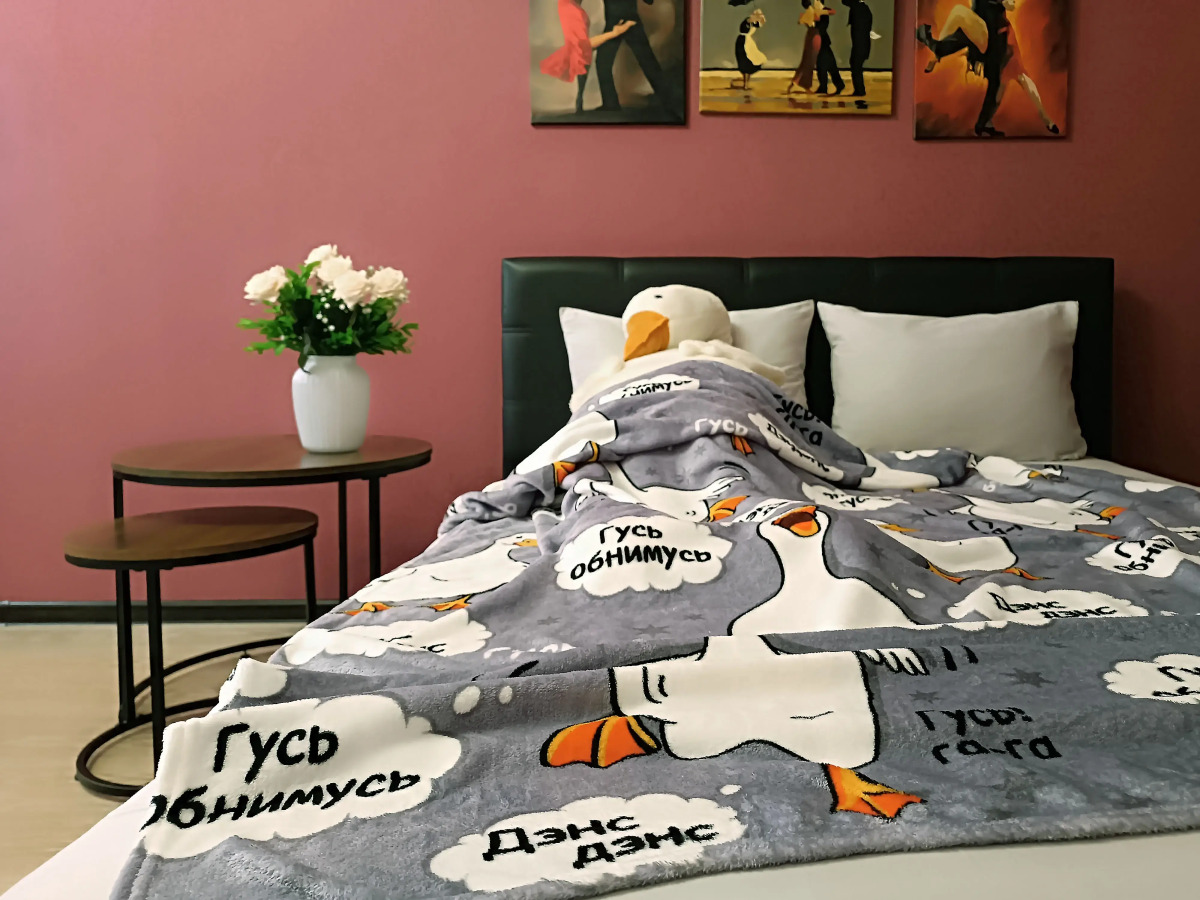 Квартира Двухкомнатная BaileVida rent на Гвардейском