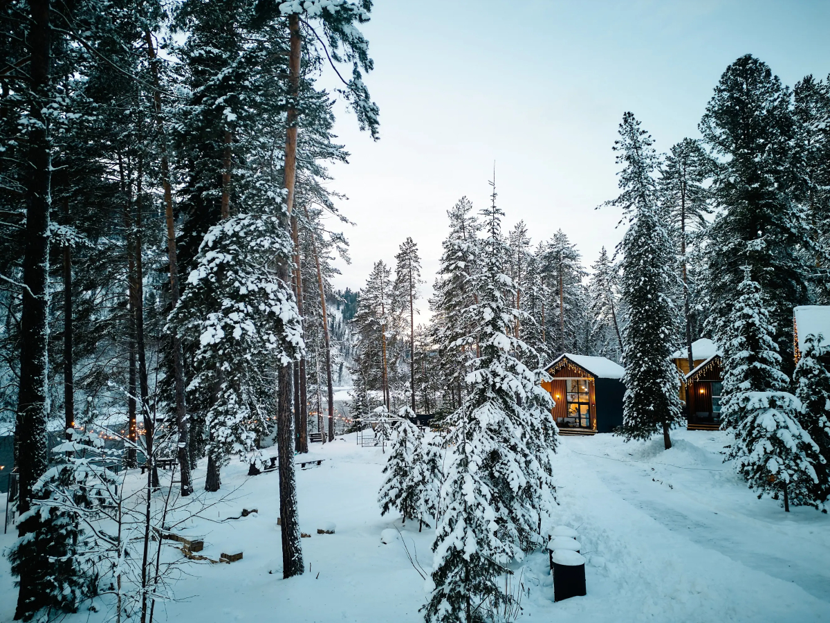 База отдыха Relax Телецкое