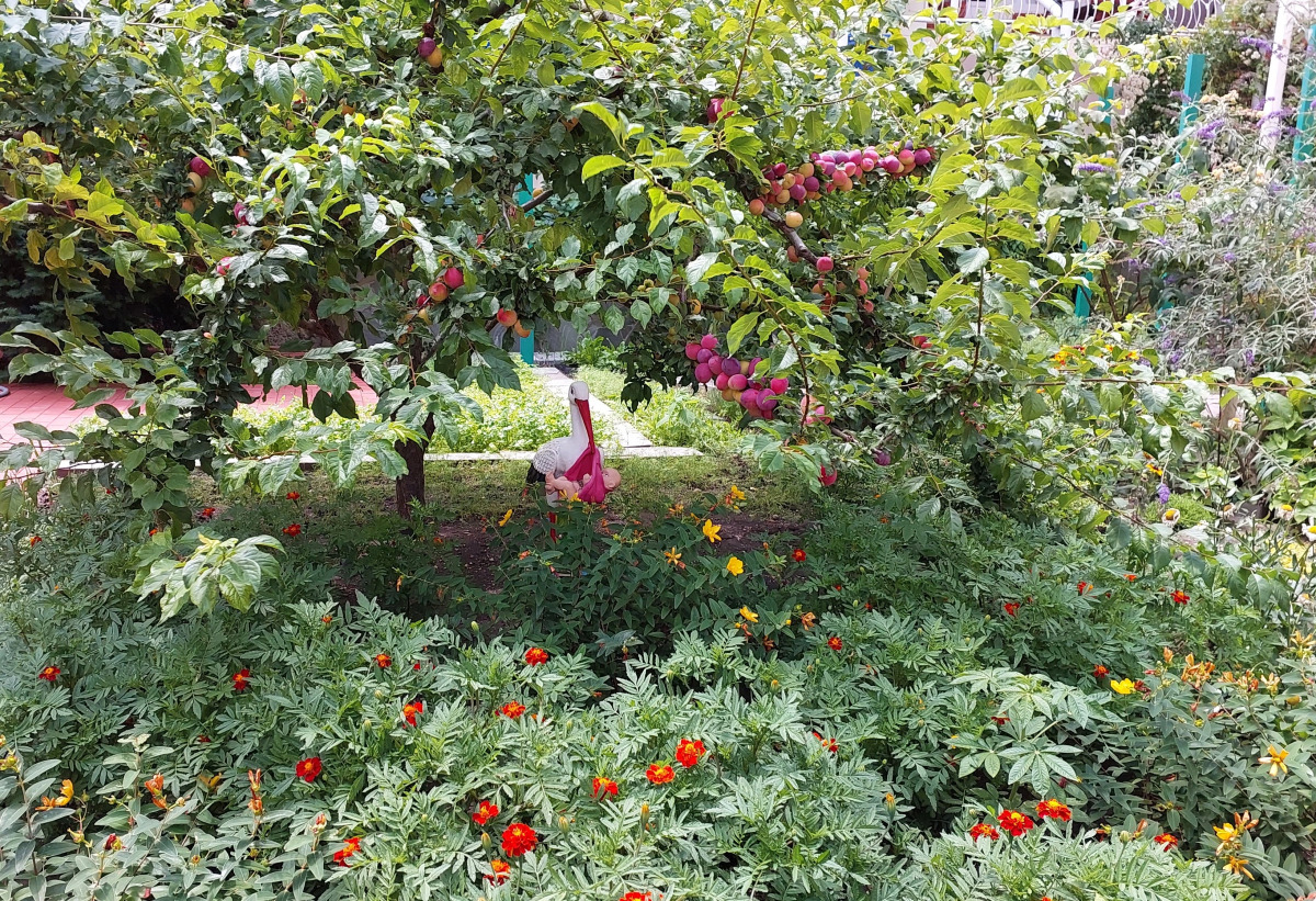 Гостевой Дом Отдых у Александра