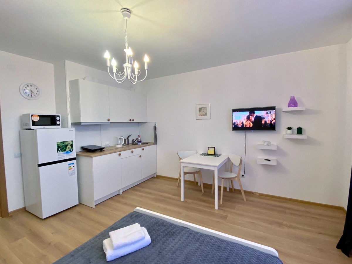 Квартира Студия Зеленая в Песочном