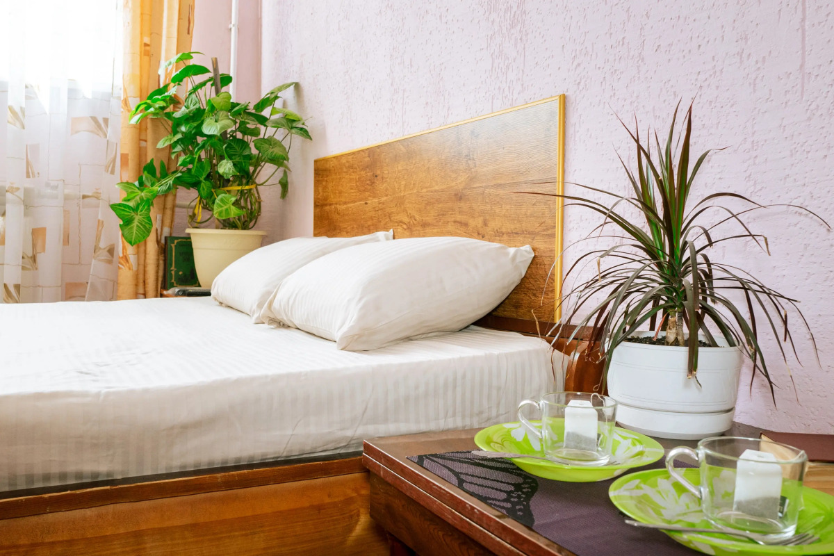 Меблированные комнаты Славянка