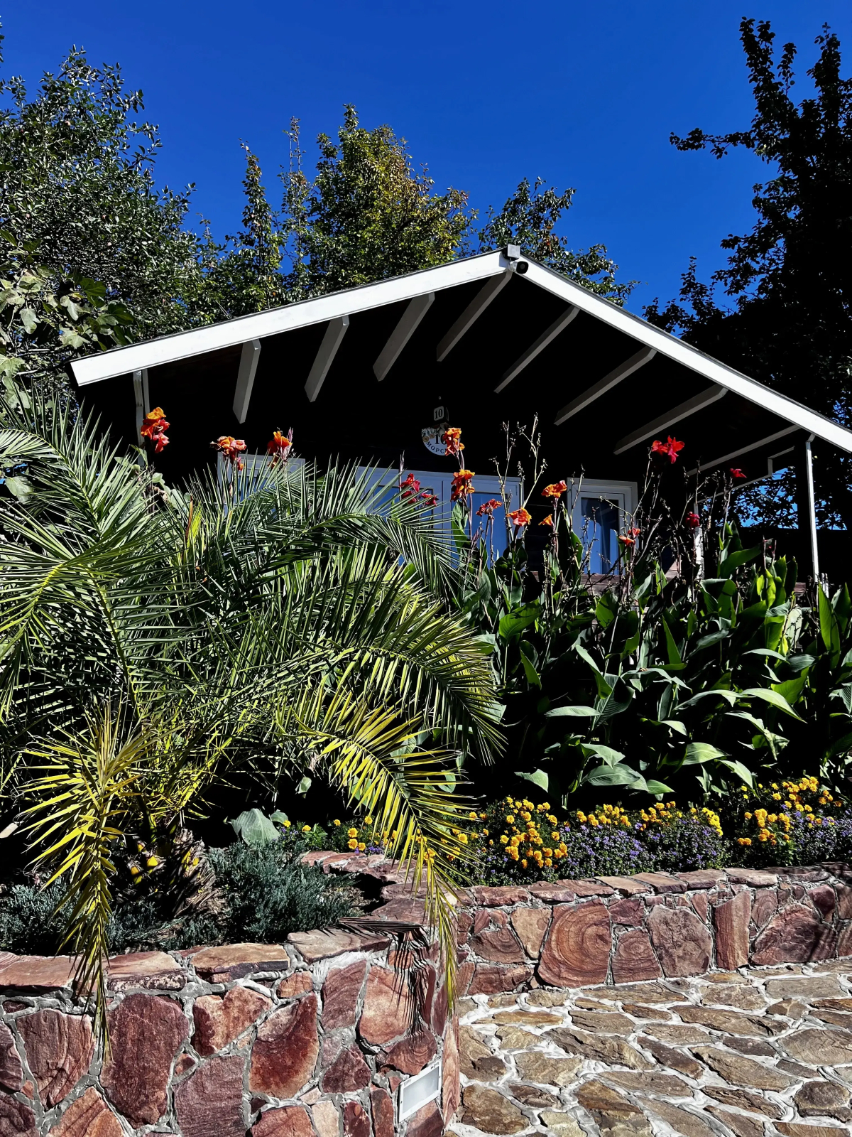 База отдыха Флора