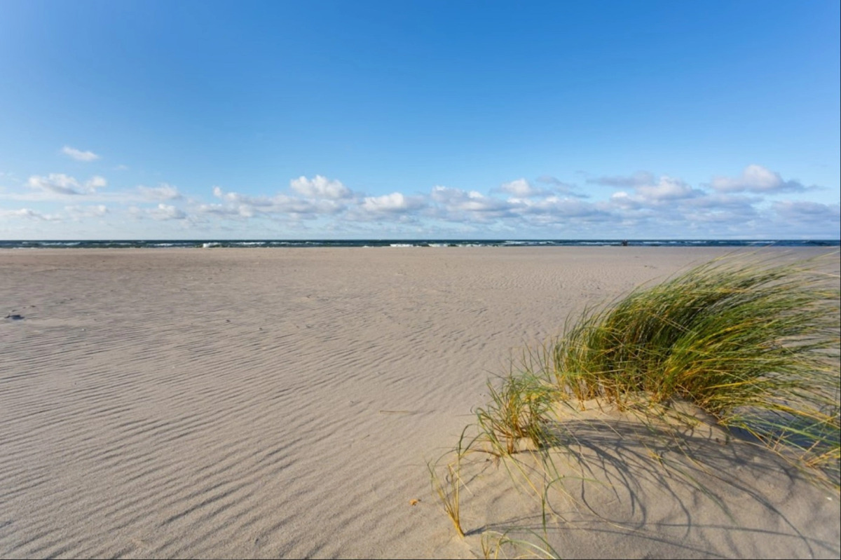 Апартаменты Sunny day 6