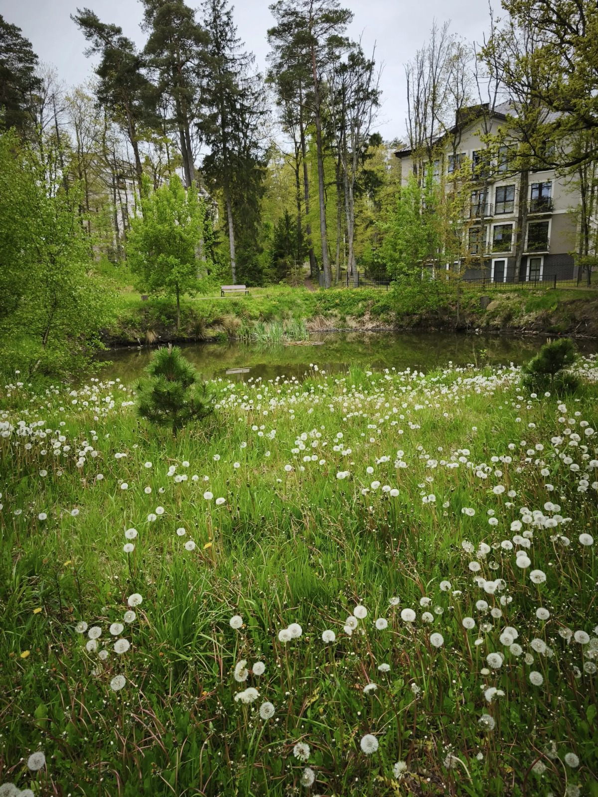 Апартаменты Serenity в окружении Реликтового Леса