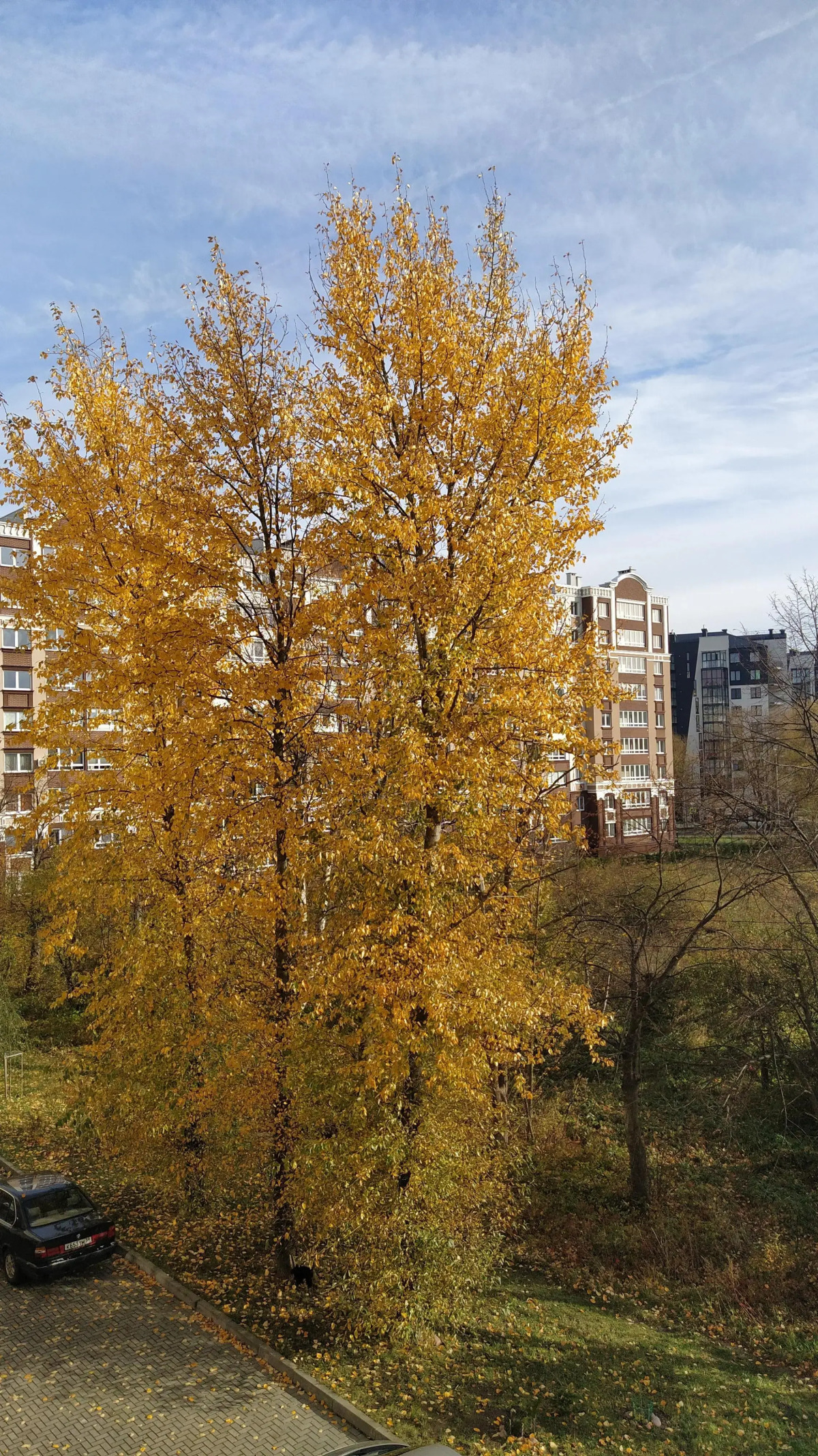 Апартаменты Сантарини