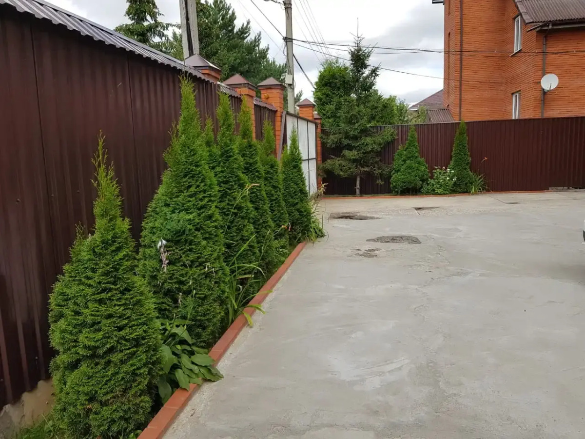 Меблированные комнаты Дар на Тютчевской