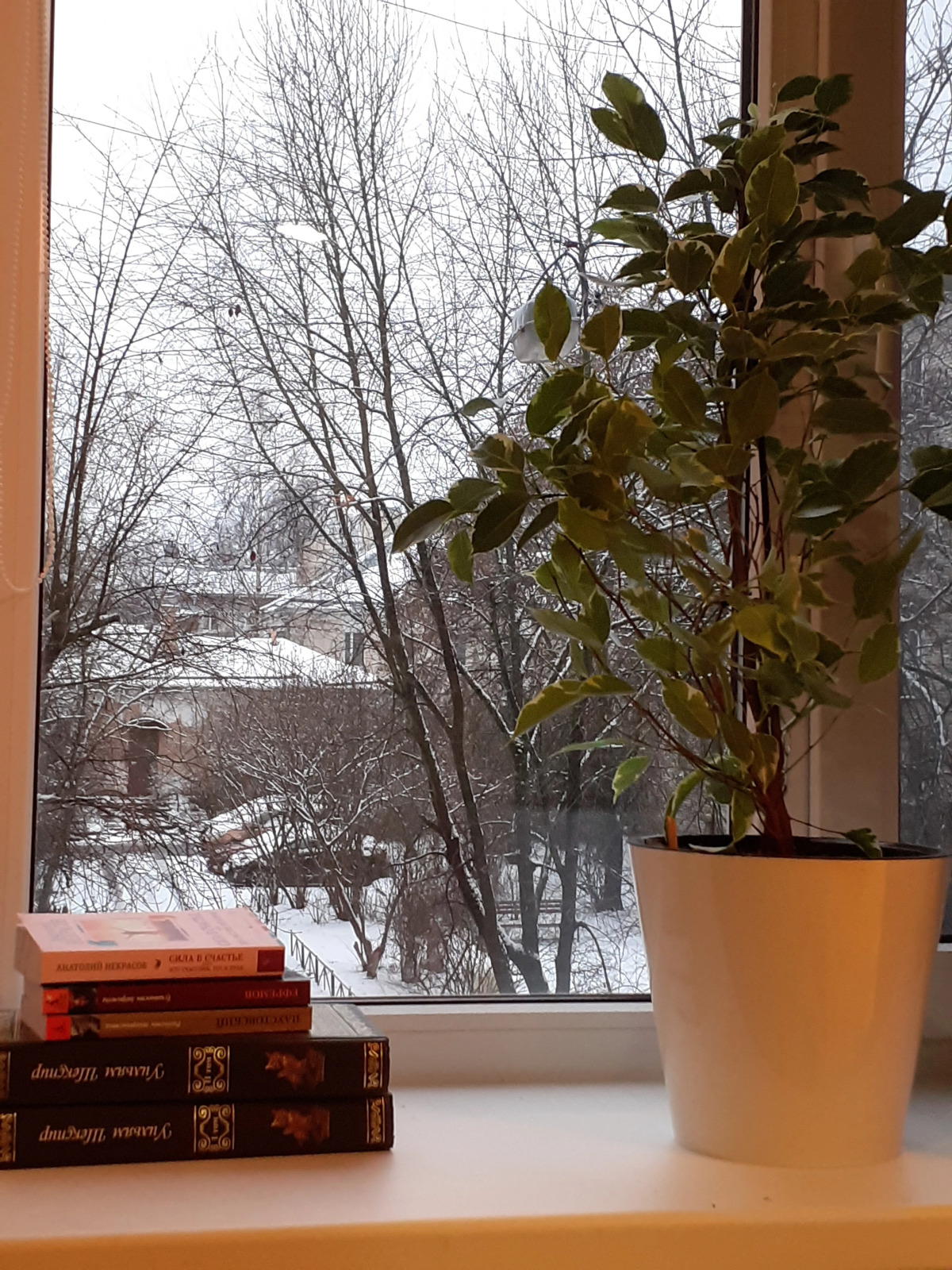 Апартаменты Sun Home