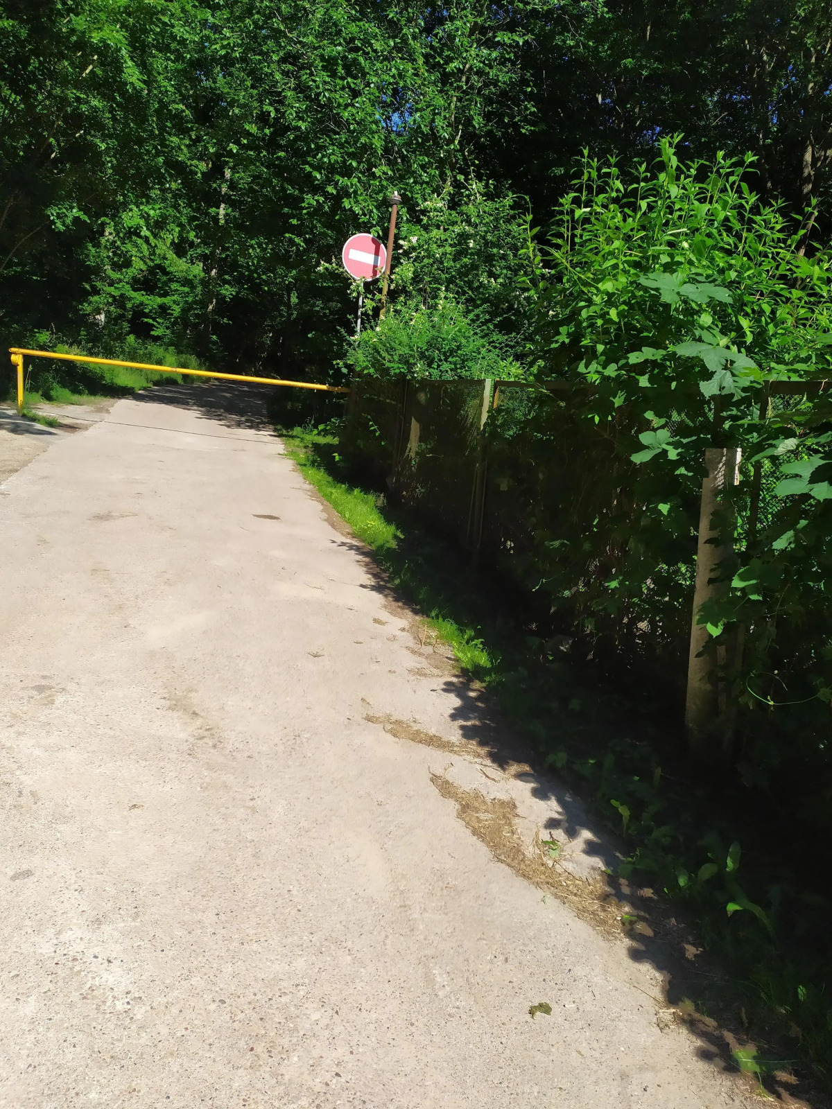 Апартаменты Светлогорск-Отрадное