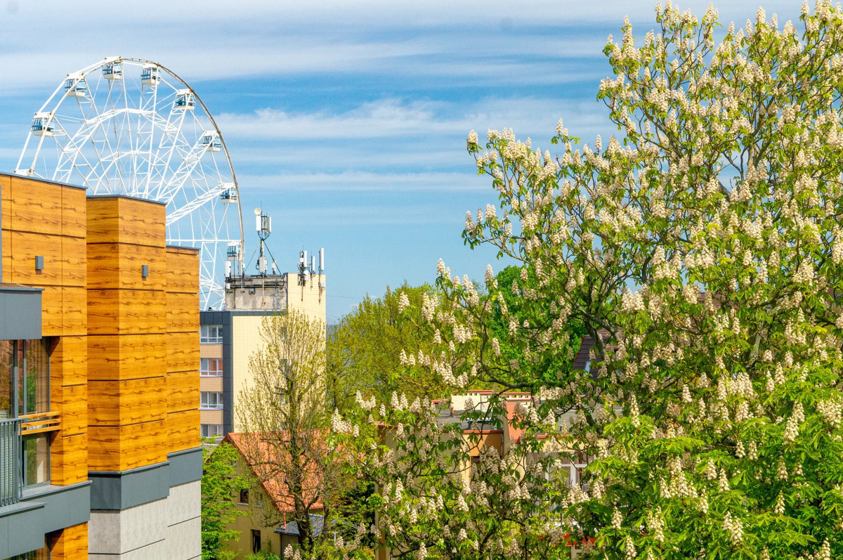 Апартаменты Парк Холл