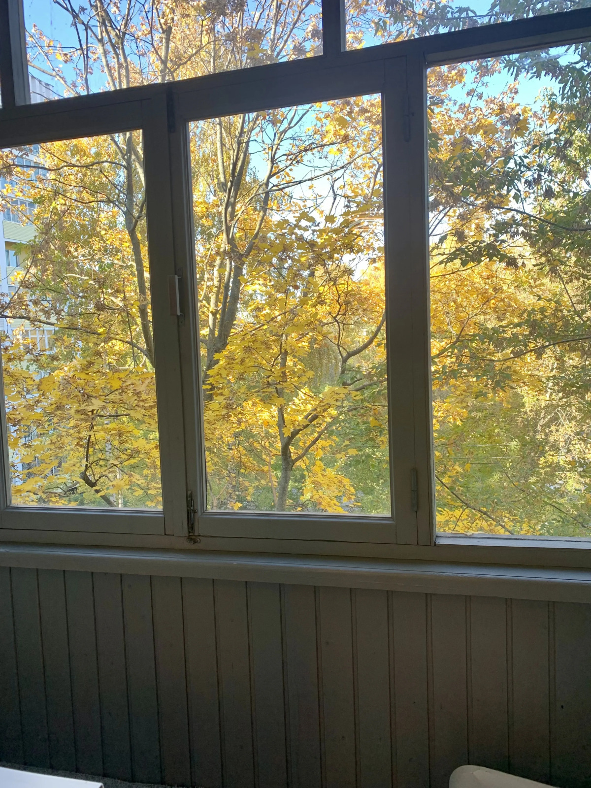 Апартаменты Белинского 102