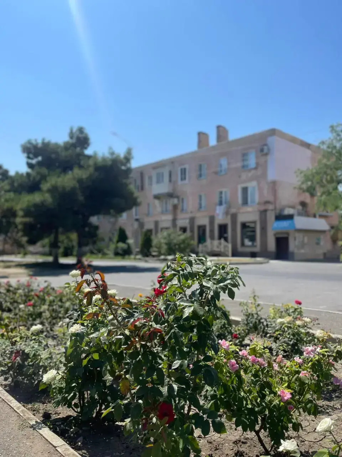 Квартира Уютная квартира у моря в центре