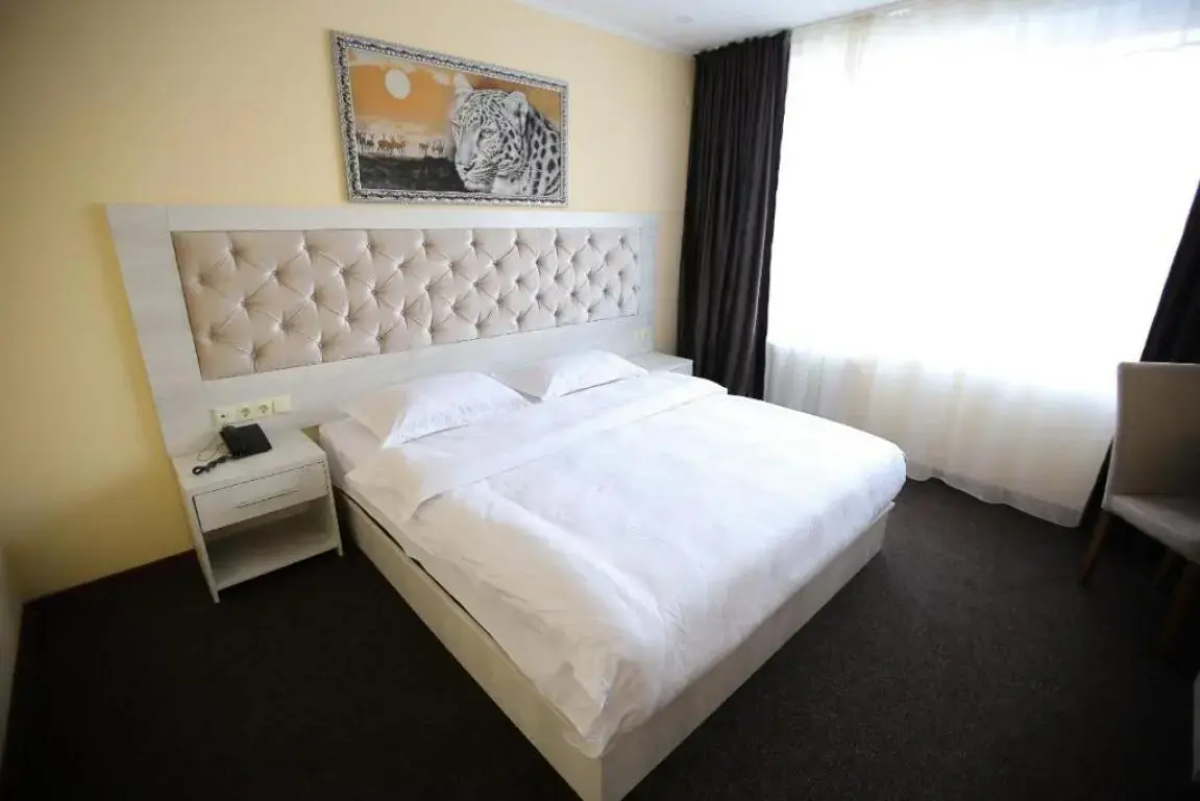 Отель ALTAI business hotel