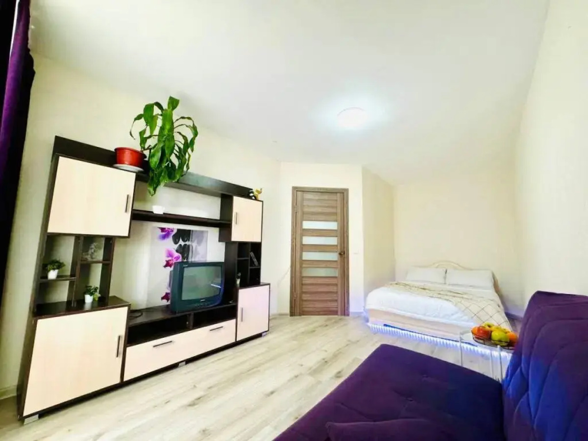 Апартаменты однокомнатные с балконом на Союзной 4