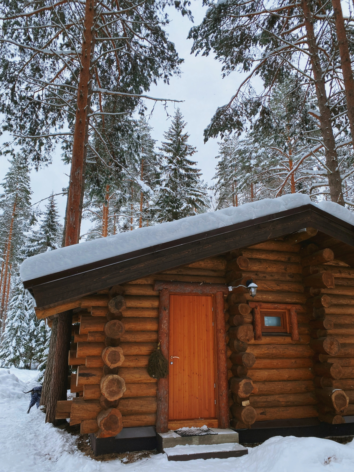 База отдыха Сямозеро