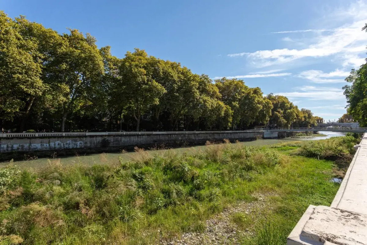 Апартаменты 4.16 STUDIO CHAIKOVSKOGO