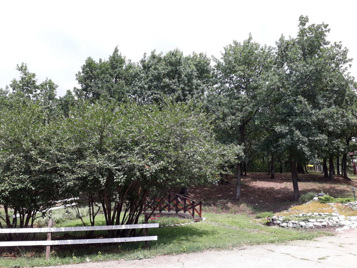 Гостевой Дом Дубрава