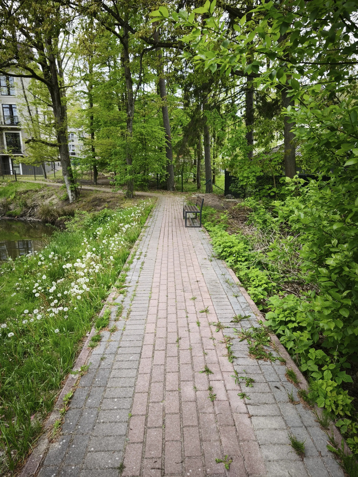 Апартаменты Serenity в окружении Реликтового Леса