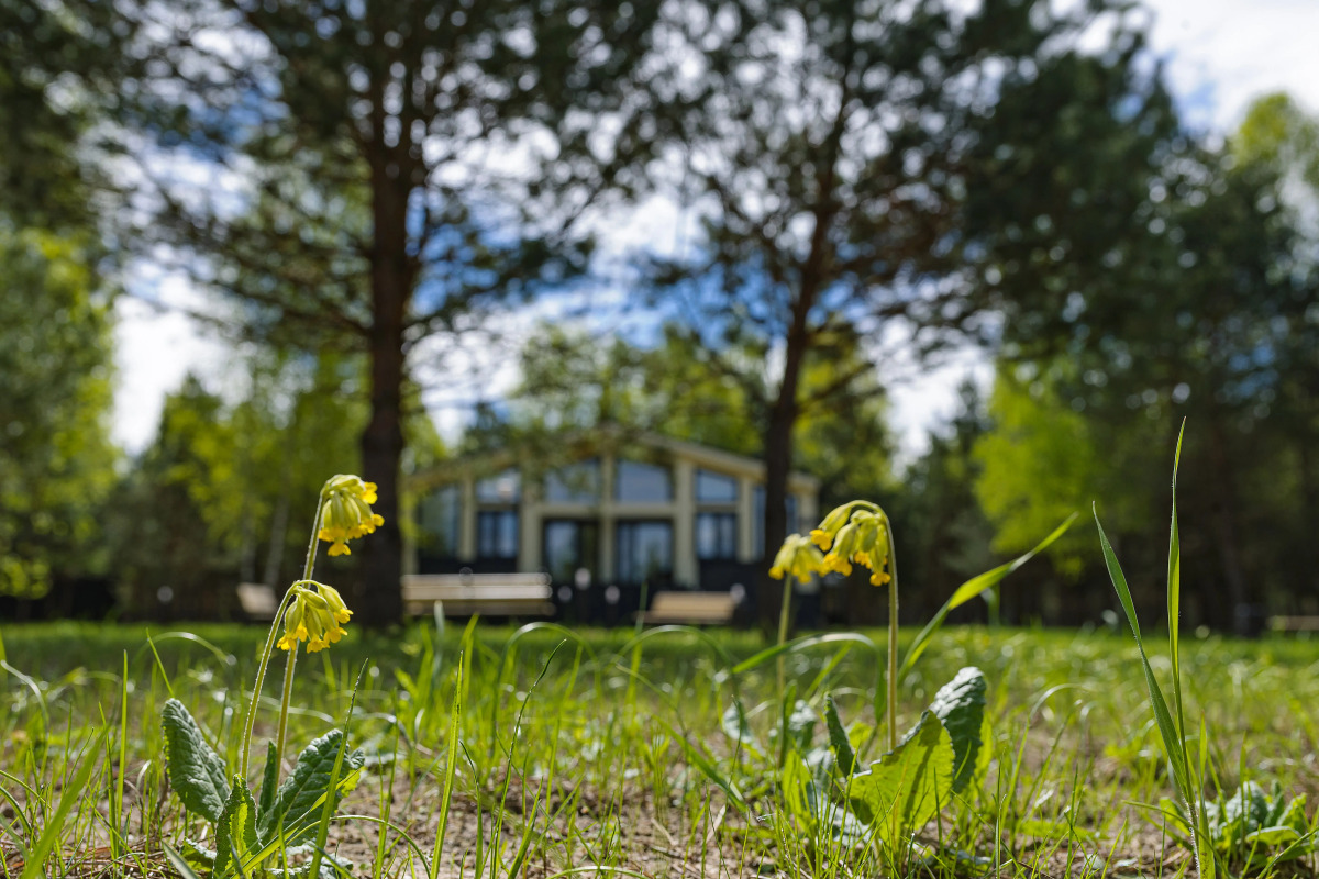 Гостевой Дом Заповедное