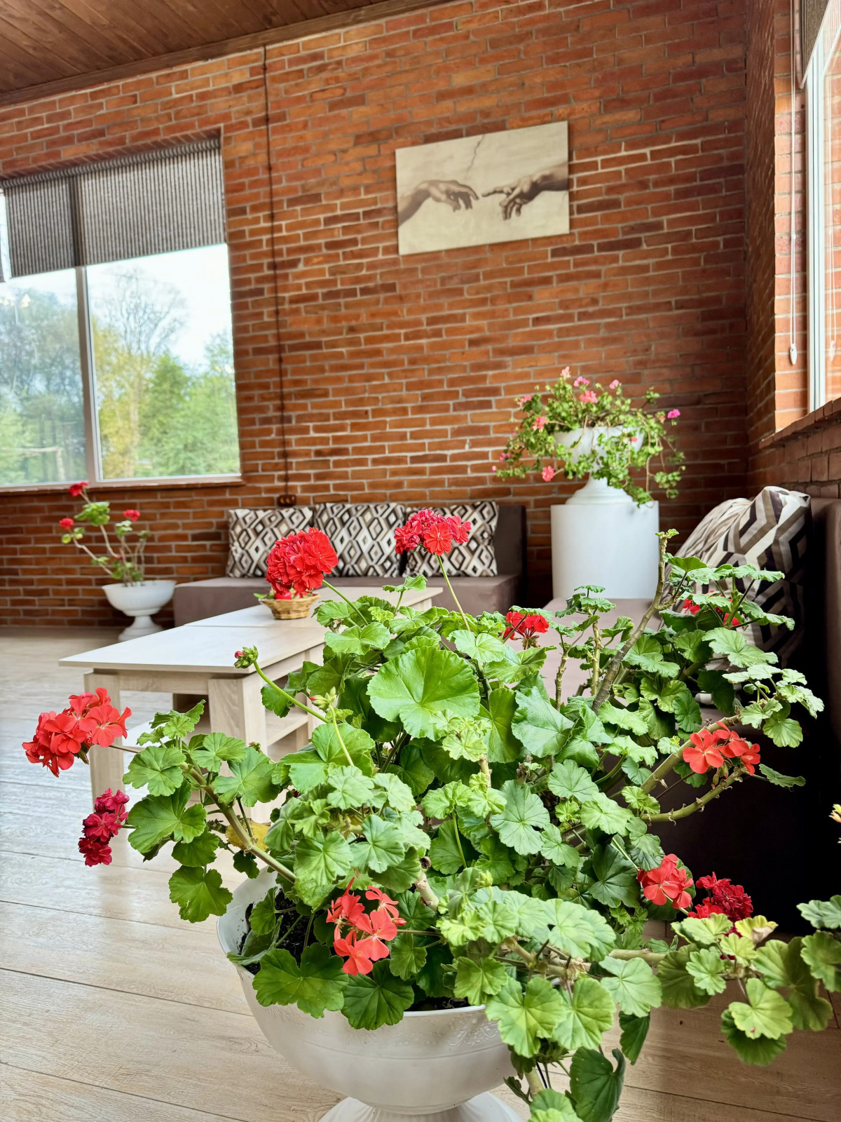 Отель Park Hotel ATLAS