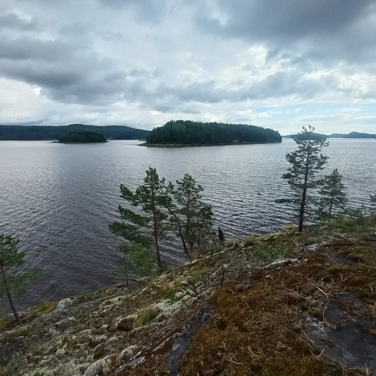 Бунгало Купол сфера